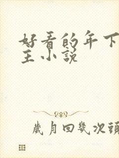 好看的年下双男主小说