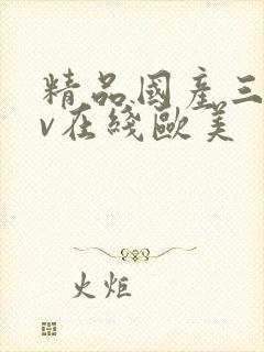 精品国产三级av在线欧美