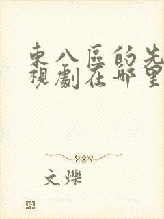 东八区的先生电视剧在哪里播放