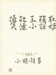 摄政王强取豪夺失忆小说姬燕