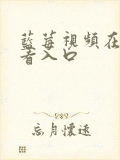 蓝莓视频在线观看入口