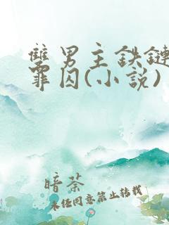 双男主铁链吊刑罪囚(小说) 双男主铁链吊刑罪囚(小说)