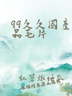 99久久国产精品毛片