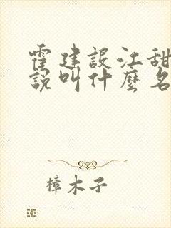 霍建设江甜琴小说叫什么名字