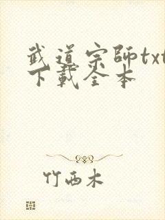 武道宗师txt下载全本