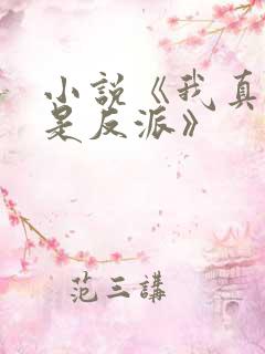 小说《我真的不是反派》 小说《我真的不是反派》