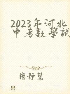 2023年河北中考数学试卷答案及解析