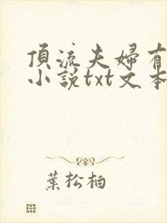 顶流夫妇有点甜小说txt文本下载
