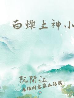白烁上神小说