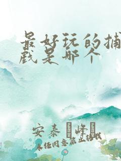 最好玩的捕鱼游戏是哪个
