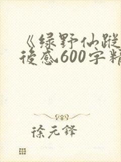 《绿野仙踪》读后感600字精选三篇