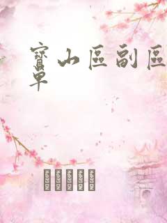 宝山区副区长名单