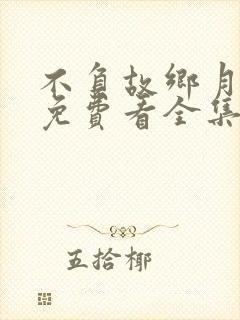 不负故乡月短剧免费看全集