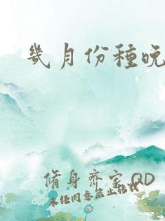 几月份种晚黄瓜