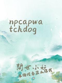 npcapwatchdog