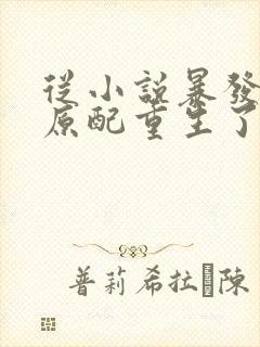 从小说暴发户的原配重生了免费阅读