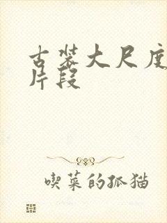 古装大尺度床戏片段