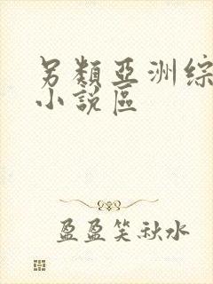 另类亚洲综合区小说区