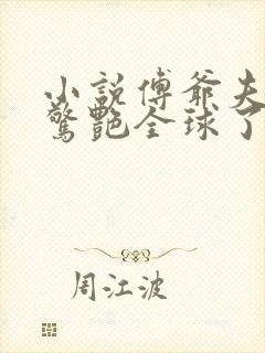 小说傅爷夫人又惊艳全球了
