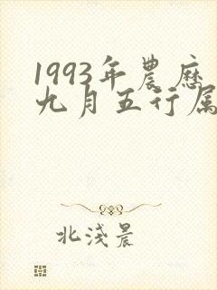 1993年农历九月五行属什么 1993年农历九月五行属什么