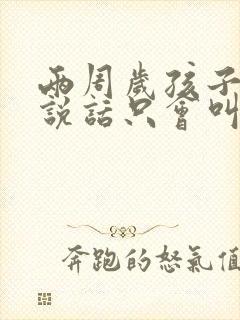 两周岁孩子不会说话只会叫爸爸妈妈