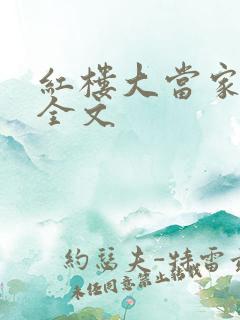 红楼大当家阅读全文