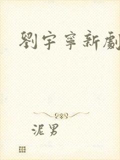 刘宇宁新剧待播