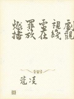 燃罪电视剧免费播放在线观看
