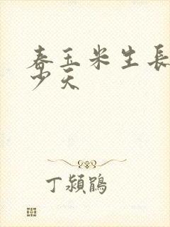 春玉米生长期多少天