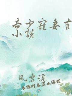 帝少宠妻有点甜小说