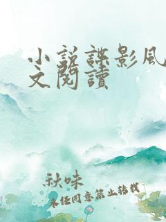 小说谍影风云全文阅读