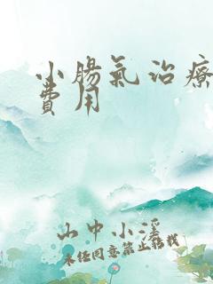 小肠气治疗多少费用
