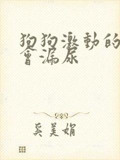 狗狗激动的时候会漏尿