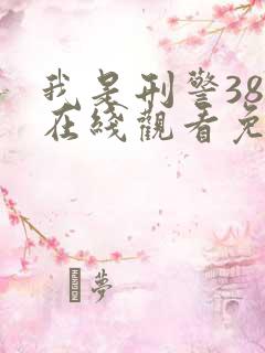 我是刑警38集在线观看免费