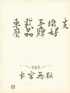 车载手机支架什么品牌好