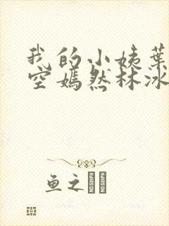 我的小姨叶凡司空嫣然林冰