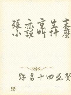 张亦重生末世的小说叫什么