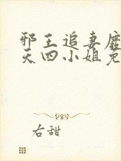邪王追妻废材逆天四小姐免费阅读全文
