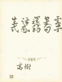 生活还是需要仪式感的句子