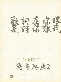 歌词在你眼中我是谁你想我代替谁