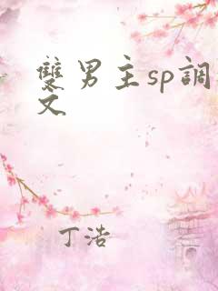 双男主sp调教文