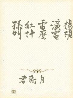 孙红雷演杨立青叫什么电视剧