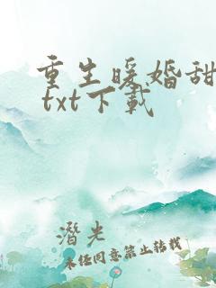 重生暖婚甜入骨 txt下载