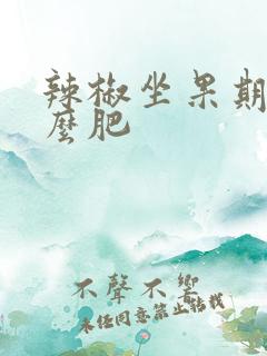 辣椒坐果期用什么肥