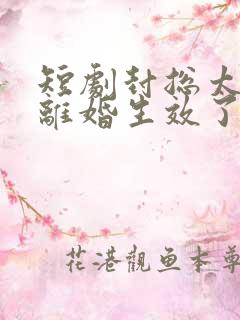 短剧封总太太的离婚生效了完整版