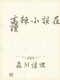 高辣小说在线阅读