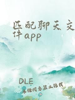 匹配聊天交友软件app 匹配聊天交友软件app