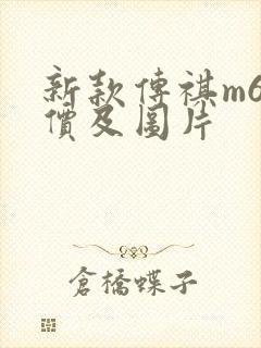 新款传祺m6报价及图片
