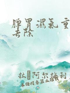 脾胃湿气重怎么去除
