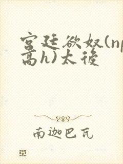宫廷欲奴(np高h)太后
